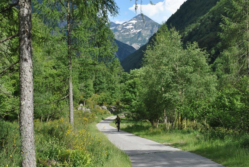 Myverzasca Resort Casa Rossa Brione  Екстериор снимка
